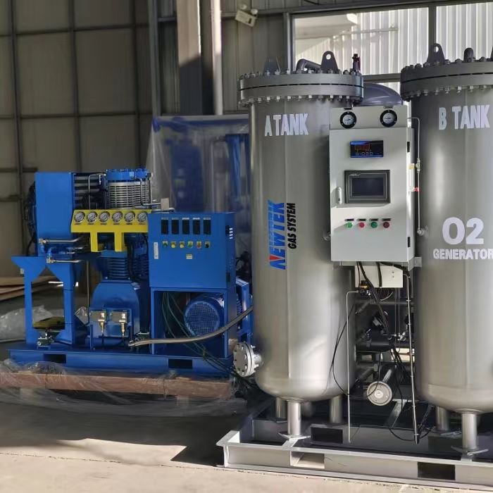 Top 5 PSA Oxygen Generator Manufacturers In The World Top 5 PSA Oxygen Generator Manufacturers In The World
